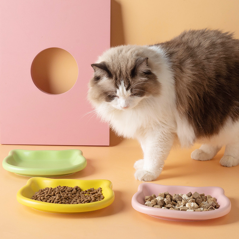 Cute Cat Shape Pet Snack Plate - Food Snacks Options recension och pris